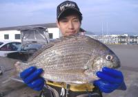 ޴ނ蒹z(1.6kg)