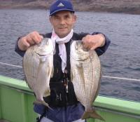 ޴ނ蕽(1.5kg1.7kg)
