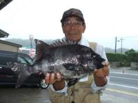 ����@���c����Α�