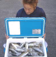 �Lʴ��ނ�y�H���@��