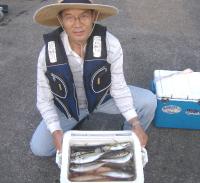 �Lʴ��ނ�I�ю��@��