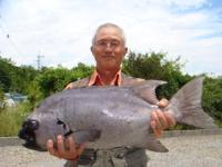 �����@�P�g����@�S�D�T�����@�U�T�����I�I