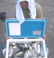 �Lʴ��ނ�y�H���@��