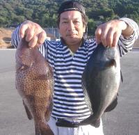 ��ʴ��ނ�ē���(1.4kg2��)