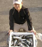 ��ʴ��ނ茴�c��(20�`25cm)