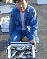 ��ʴ��ނ茴�c��(20�`25cm)