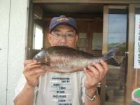 �����@�R������C�T�L�@�W�O�O��