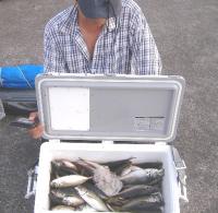 ��ʴ��ނ荕�؎��@��