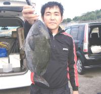 @ށ@͖쎁(1.2kg)