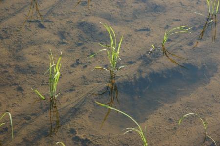 080531-1.jpg