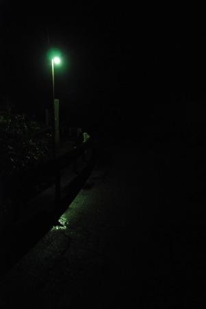 0907025-2.jpg
