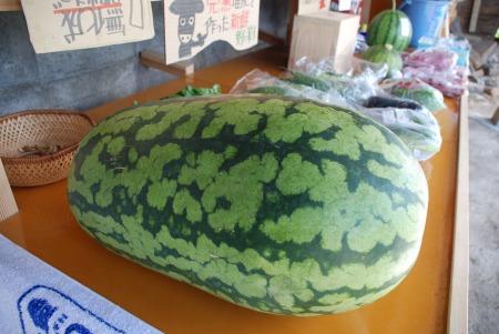 090820-1.jpg