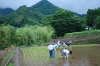 7taue-2.jpg
