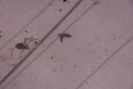 DSC_0013.jpg