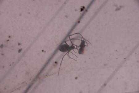 DSC_0015.jpg