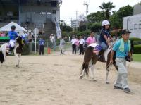 本馬場入場