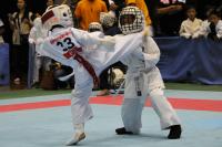 20081125-kyokushin-030.jpg