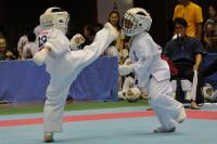 20081125-kyokushin-032.jpg