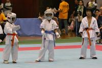 20081125-kyokushin-053.jpg