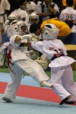 20081125-kyokushin-077.jpg