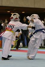 20081125-kyokushin-111.jpg