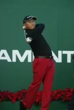 2008dpt-1119pc-14taniguchi.JPG