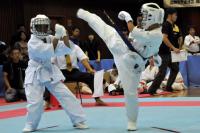 20090720-kyokushin-010.jpg