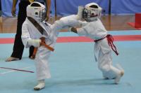 20090720-kyokushin-019.jpg