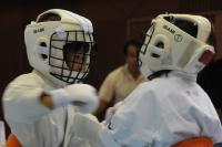 20090720-kyokushin-032.jpg