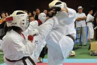 20090720-kyokushin-042.jpg