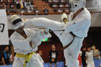 20090720-kyokushin-045.jpg