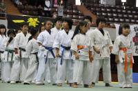 20090720-kyokushin-065.jpg