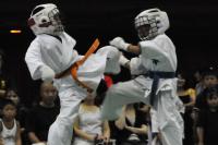 20090720-kyokushin-078.jpg