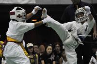 20090720-kyokushin-083.jpg