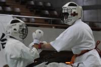 20090720-kyokushin-095.jpg