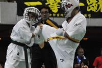 20090720-kyokushin-110.jpg