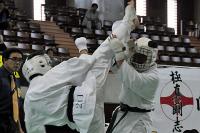 20090720-kyokushin-123.jpg