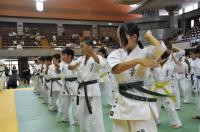 20090720-kyokushin-165.jpg