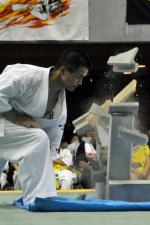 20090720-kyokushin-176.jpg