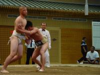 so08-sumo-1-1.jpg