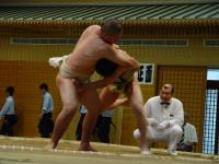 so08-sumo-2-1.jpg