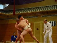 so08-sumo-2-3.jpg