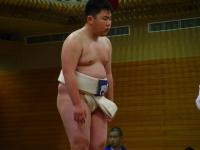 so08-sumo-2-6.jpg