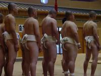 so08-sumo-image03.jpg