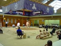 so08-sumo-image04.jpg