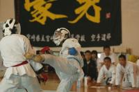 sotai08-md-karate-4_.jpg