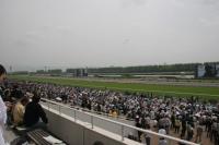 京都競馬場