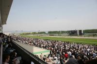 京都競馬場