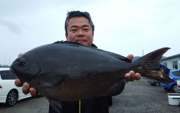 %e4%b9%99%e5%b3%b6%e4%b8%b820170107-onaga57cm3-5kg