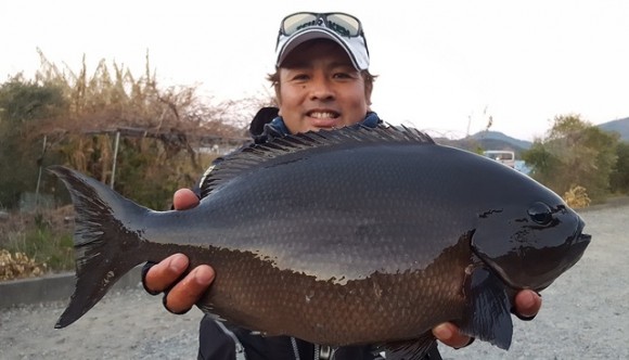 20171221-omaga54cm 2.85kg